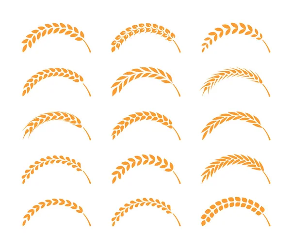 Sada Jednoduchých Pšeničných Uší Ikony Pšeničné Designové Prvky Organické Pšenice — Stockový vektor