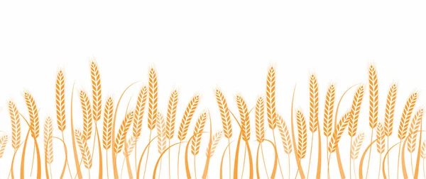 Ears Wheat Field Horizontal Border Seamless Pattern Vector Illustration — Stock Vector