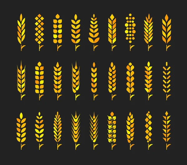 Pšeničné Ucho Ikona Nastavit Izolované Černém Pozadí Zlatá Barva Vektorové — Stockový vektor