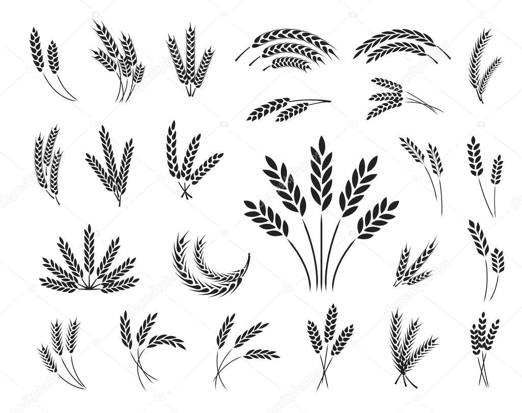 Set of wheat ear icons isolated on a white background, vector illustration.