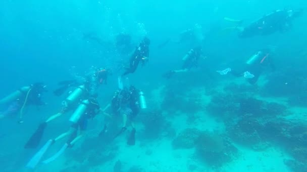 Conductores Nadando Luchando Contra Fuerte Corriente Submarina — Vídeo de stock