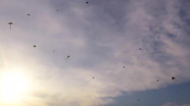 2019-03-10 Timelapse günbatımı uçurtma uçan Singapur Marina Barrage