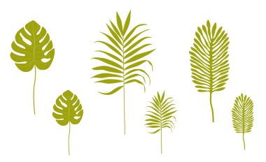 Siluetleri tropikal yaprak. Beyaz arka plan üzerinde izole vektör nesneleri.