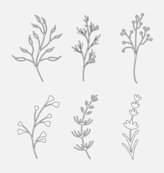 Silhouettes wild and garden flowers, herbs and twigs. — Stock Vector