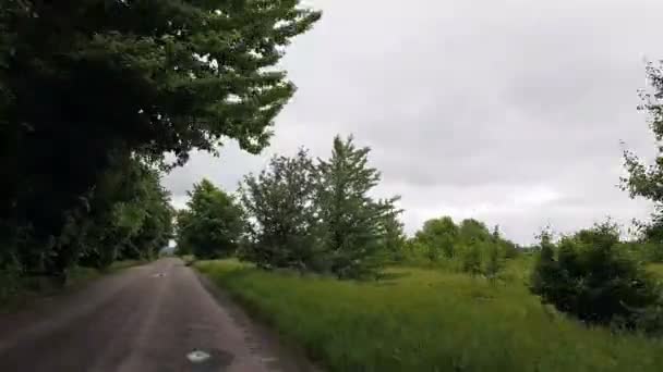 Driving Old Country Road Spring Summer Old Asphalt Road Driving — Stock Video