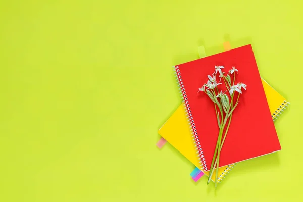 Beaucoup Fleurs Fleurs Ornithogalum Têtes Carnets Rouges Jaunes Avec Bouquet — Photo