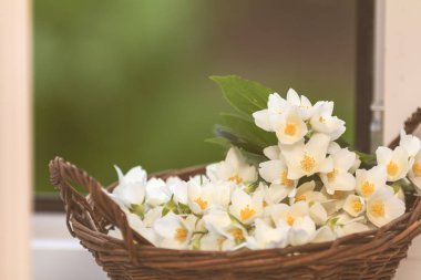 Rahat bahar yaz ev concept. Yasemin çiçekleri sepet pencere üzerinde çiçeklenme. Yumuşak odak tonda ve işleme fotoğraf.
