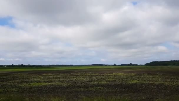 Feld Frühjahr Schöne Gewitterwolken Über Dem Feld Die Aus Einem — Stockvideo