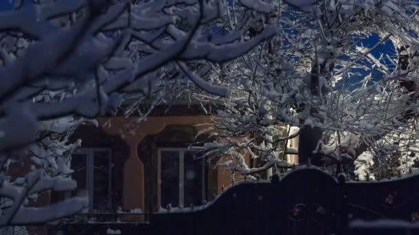 美丽的冬贺卡上绿树成荫 房屋覆盖积雪 路灯和慢动作降雪 冬童话之夜 — 图库视频影像