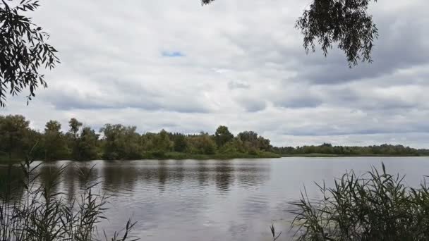 Барвистий Весняний Літній Пейзаж Річці Красивими Хмарами Небі Динамічна Сцена — стокове відео