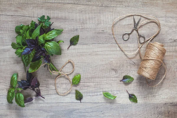 Parsley and basil bunch of bouquets, scissors and rope cord on l