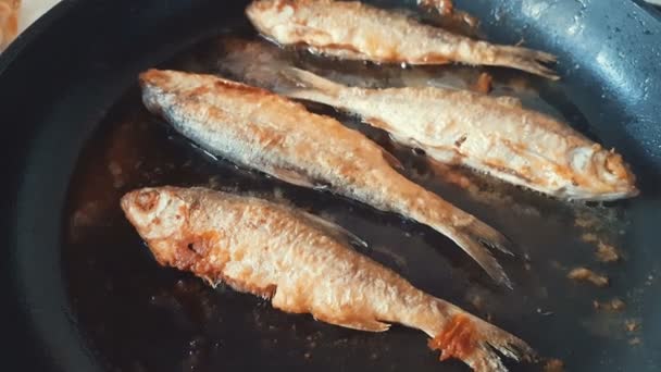 Rio Peixe Fritando Panela Perto Cena Dinâmica Vídeo Tonificado Deliciosos — Vídeo de Stock