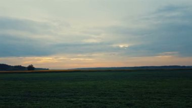 Alan ve inanılmaz güzel clorfull yaz günbatımı ormanda. Güzel gök gürültüsü bulutlar yere yolda devam ediyor bir arabadan ateş alan. İyi akşamlar, dinamik sahne, 4k video