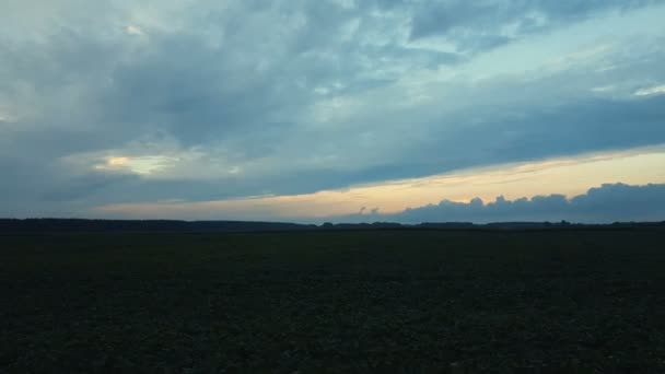 Mező Csodálatos Szép Clorfull Sunset Nyári Erdő Gyönyörű Mennydörgés Felhők — Stock videók