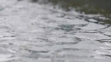 Doku su, su çeşme yüzey. Yakın kadar dinamik sahne, 50 kare/sn, tonda video.