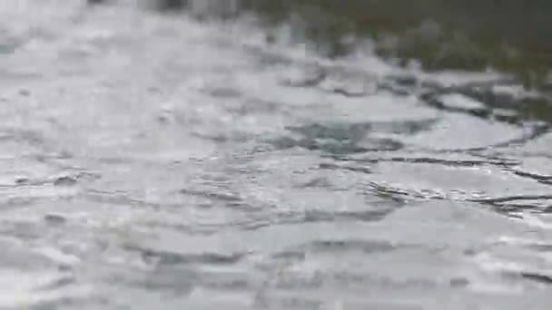 Tekstury Wodzie Powierzchni Wody Fontanny Zbliżenie Dynamiczne Sceny 50Fps Stonowanych — Wideo stockowe