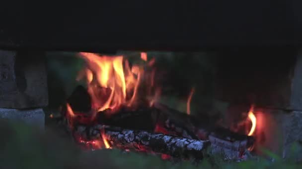 Charred Wood Fire Burning Wood Bright Flames Dark Close Dynamic — Stock Video