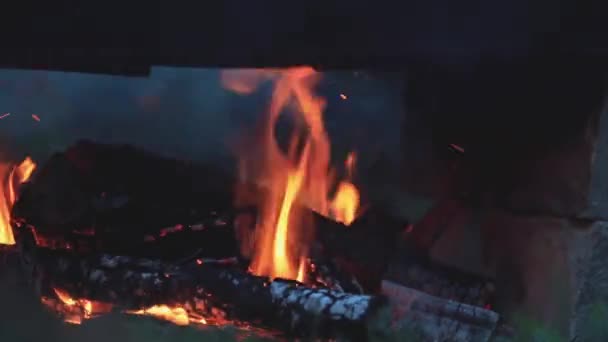 Charred Wood Fire Burning Wood Bright Flames Dark Close Dynamic — Stock Video