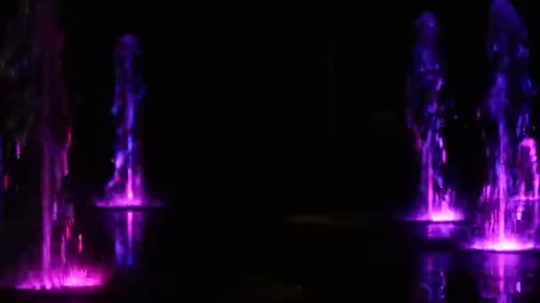 Água Colorida Noite Fonte Dançando Com Luzes Multicolorido Desfoque Fundo — Vídeo de Stock