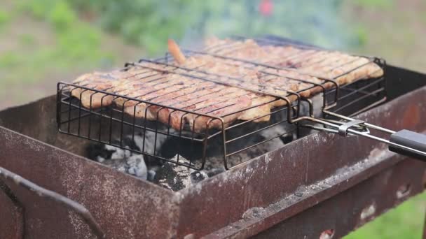 Izgara Domuz Biftek Izgara Içinde Bahçe Bahar Yakın Çekim — Stok video