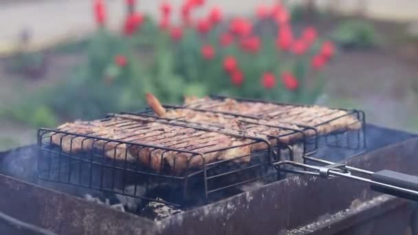 Filetes Cerdo Parrilla Jardín Primavera Cerca — Vídeos de Stock