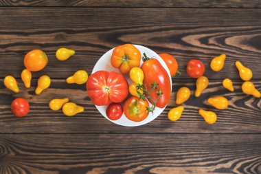 Birçok farklı kırmızı turuncu sarı domates koyu ahşap yüzey üzerinde. Güzel yemek arka plan sanat, üstten görünüm.