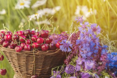 Hasır sepet içinde taze kırmızı kiraz. Kekik, peygamber çiçeği, mavi çan ve beyaz çiçek buketleri çiçek. Yumuşak odak tonda ve işleme fotoğraf. Güzel yaz arka plan. Güneş ışığı, gün batımı.