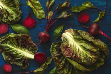 Yeşil yaprakları ile ev yapımı organik genç pancar ve marul hindiba su ile yığını üzerinde koyu mavi ahşap masa bırakır. Taze mavi siyah arka plan üzerine beetroots hasat. Üstten görünüm.