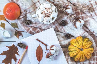 Kahve ve hatmi, kabak, greyfurt, Pamuk bitki çiçek dalları, Not defteri ve kopya alanı üstten görünüm kompozisyon Kupası ile. Sonbahar Kış güzel arka plan, rahat ev concept