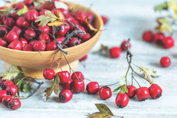 Podzimní Sklizeň Hawthorn Berry Listy Misce Pozadí Světle Dřevěný Stůl — Stock fotografie