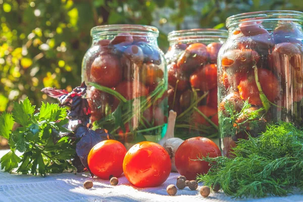 Marinated Preserving Jars Homemade Dark Red Tomatoes Pickles Basil Fresh — Stock Photo, Image