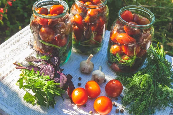 Frascos Conserva Marinados Tomates Vermelhos Escuros Caseiros Picles Com Manjericão — Fotografia de Stock