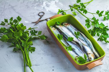 Sardalye veya maydanoz hafif gri beton masa yüzeyi ile yeşil çanak üzerinde Baltık Ringa balığı. Çiğ çiğ deniz balığı.