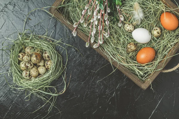 Bıldırcın yumurta saman yuva, tavuk yumurtası ve Söğüt dalları ve ahşap kutu, siyah beton masa yüzeyi iş parçacığında yeşil dalları üzerinde. Karanlık rustik tarzı. Üstten Görünüm. Mutlu Paskalya tebrik kartı.