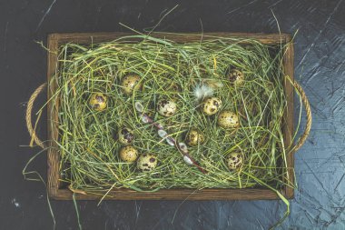 Bıldırcın yumurtası saman ve Söğüt dalları üzerinde