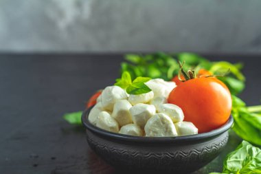 Rustik tarzı. İtalyan caprese salatası için malzemeler.