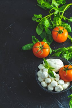 Rustik tarzı. İtalyan caprese salatası için malzemeler.