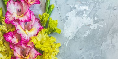 Sarı ve pembe kuzgandan yapılmış sınır çerçevesi