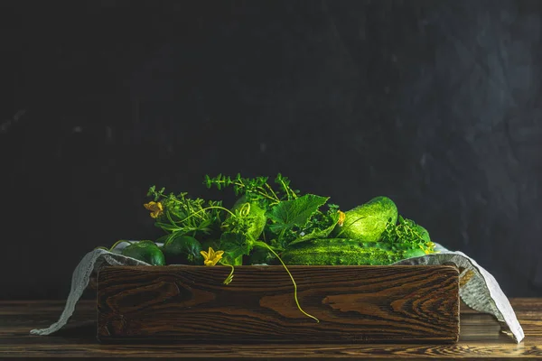 Зеленый свежий огурец в деревянной коробке. Темный фон . — стоковое фото