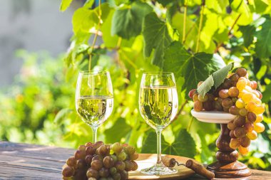 Bağda yeşil üzüm ve beyaz şarap. Vineya ile güneşli bahçe