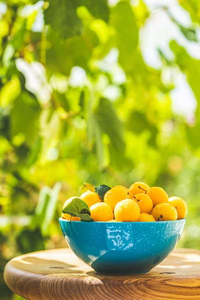 Ciruelas amarillas de cereza con gotas de agua en tazón azul —  Fotos de Stock