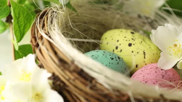 Frohe Ostern. Bemalte Eier in einem Korb mit blühenden Jasminblüten. Nahaufnahme eines dekorativen Nestes mit gefärbten Eiern für die Osterfeiertage im Kreis