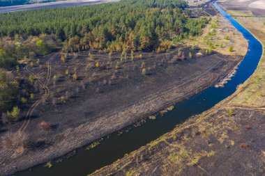 Ormandaki bahar yangınından sonra hava manzarası toprağı ve ağaç gövdelerini yaktı. Siyah yanmış tarla. Olağanüstü bir olay. Orman yangınının sonuçları