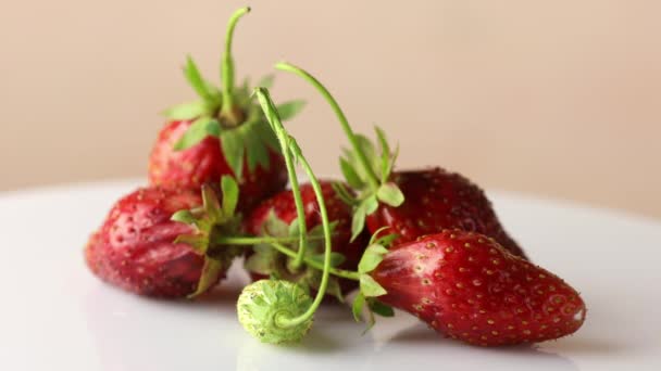 Reife Rohe Frische Erdbeeren Auf Weißem Hintergrund Nahaufnahme Kreis Drehend — Stockvideo