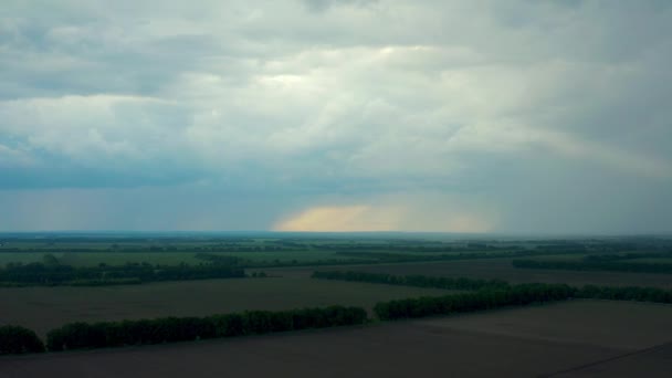 劇的な雨の雲の圧延の下で見事なフィールドの上に空中飛行 地球温暖化効果黒雷雨劇的な雨の雲劇的な空 雲を通して輝く光線 — ストック動画