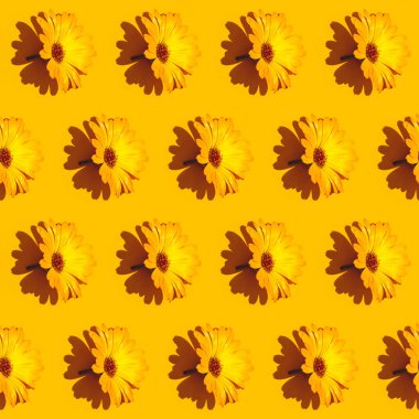 Parlak sarı arkaplandaki kadife çiçeğinden çapraz desen. Yaratıcı minimalist daire sert ışıkla yatıyordu.