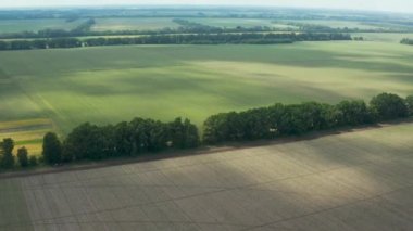 Hava manzarası bahar patates çiftliği, buğday tarlaları, köy ve orman üzerinde uçuyor. Yerdeki bulut gölgesini hareket ettir. Ekolojik konsept için harika dron fotoğrafı