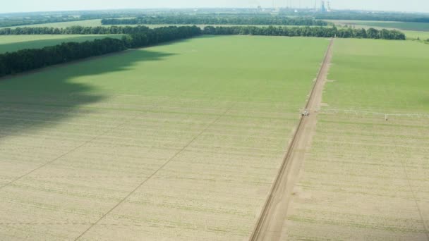 Piantagione Patate Primaverili Con Letti Piantati File Diritte Campo Agricolo — Video Stock