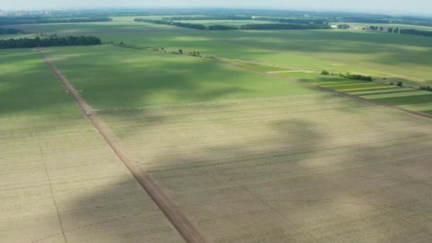 Vista Aérea Volar Sobre Plantación Patatas Primavera Muchas Papas Surcos — Vídeo de stock