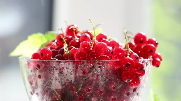 Rijp Rode Bes Met Waterdruppels Groene Bladeren Glazen Schaal Bewegen — Stockvideo